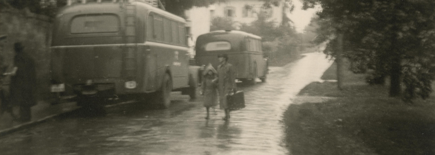 Graue Busse und Personen