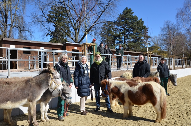 Mehrere Personen, die Esel und Ponys halten, stehen auf dem Reitplatz des Pferdehofs der Diakonie Stetten.