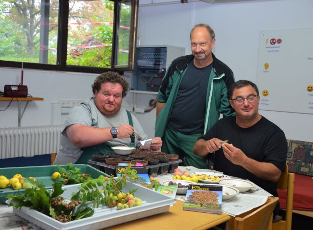 Zwei Mitarbeitende des Garten- und Landschaftsbaus sitzen an einem Tisch, der Leiter und Gärtner steht zwischen ihnen. Der Mitarbeiter links pflanzt das Saatgut, der Mitarbeiter rechts entnimmt die Kerne der Früchte des Speierlings.